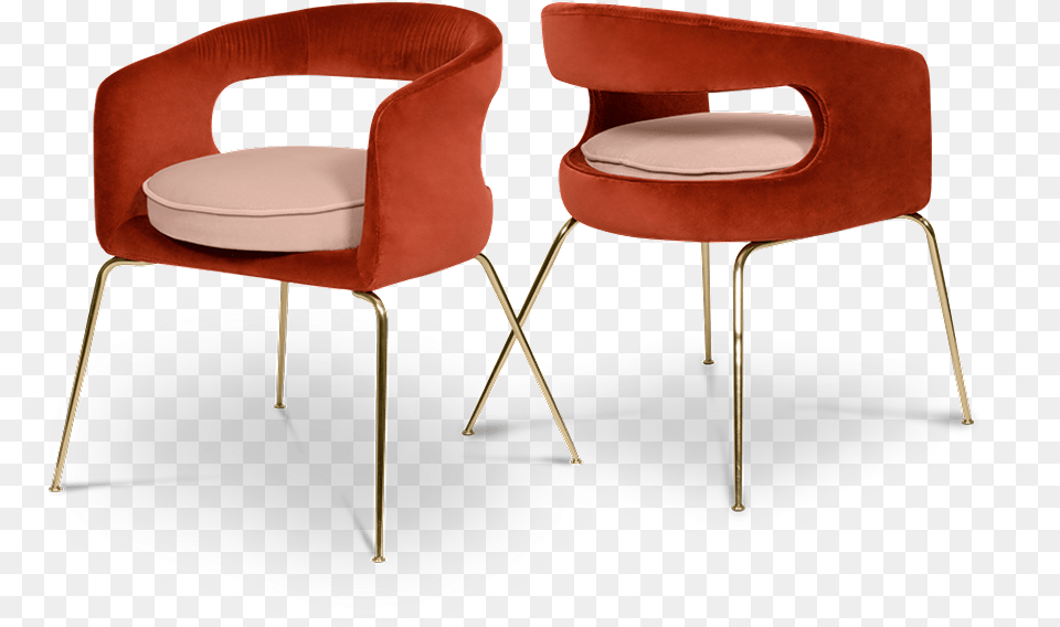 Ellen Dining Chair Essential Home, Furniture, Plywood, Wood, Armchair Free Png Download