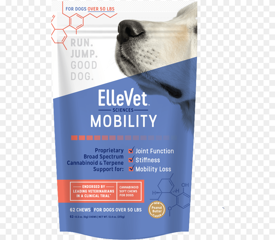 Ellevet Cbd, Advertisement, Poster, Animal, Canine Free Png