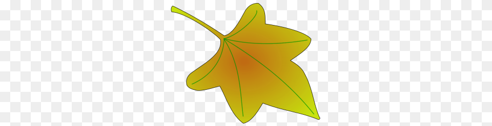 Elm Leaf Cliparts, Maple Leaf, Plant, Tree, Bow Png