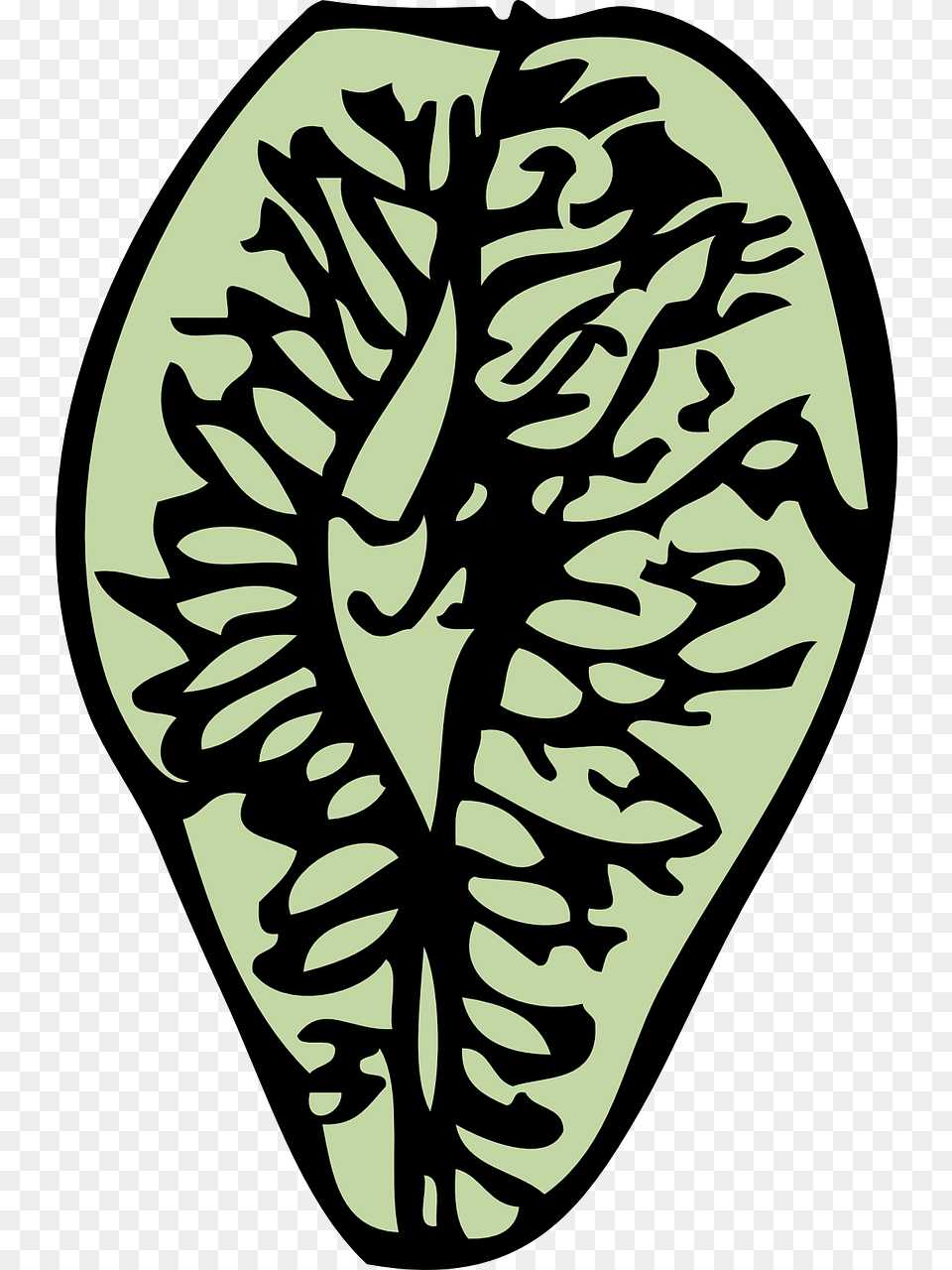 Elm Seed Tree Clip Art, Ct Scan, Person, Leaf, Plant Free Png