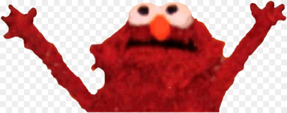 Elmo Elmo In Hell, Animal, Cat, Mammal, Pet Png