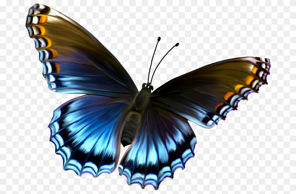 Elmundodepazennosotros Blogspot La Mariposa Azul Http, Animal, Butterfly, Insect, Invertebrate Free Png