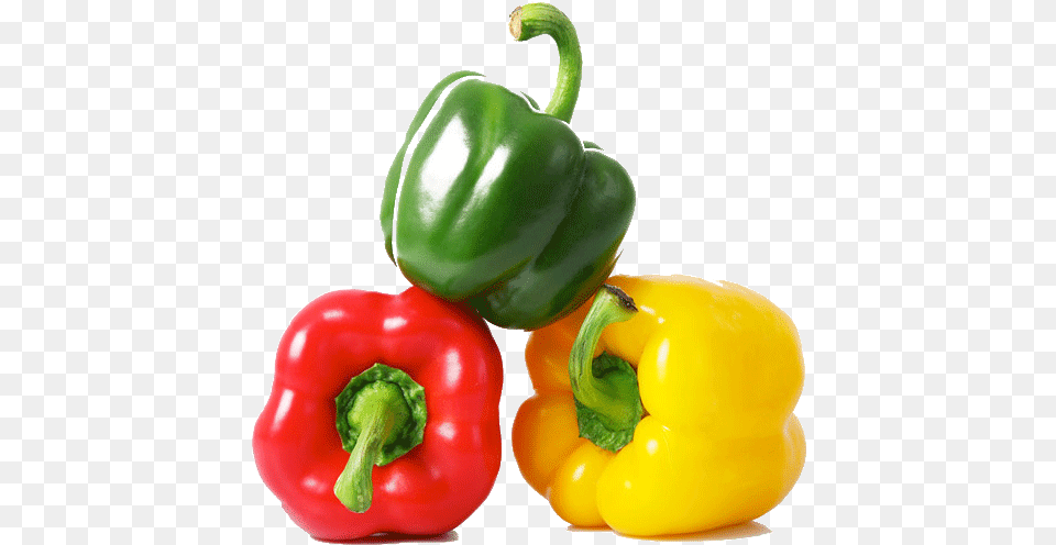 Elomar Company Provide A Variety Of Vegtables For Exporting Vegetables Board Book For Kids, Bell Pepper, Food, Pepper, Plant Free Png