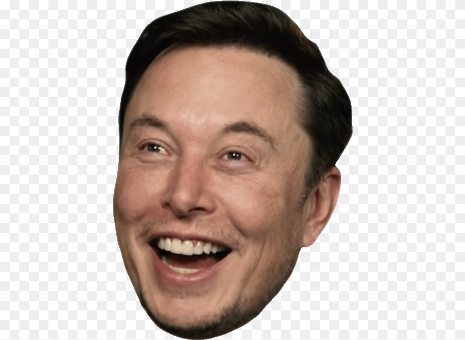 Elon Musk Meme Review, Adult, Person, Man, Male Png