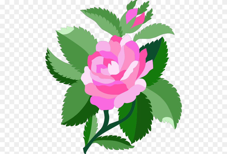 Elower Clipart Animated, Flower, Plant, Rose, Carnation Png