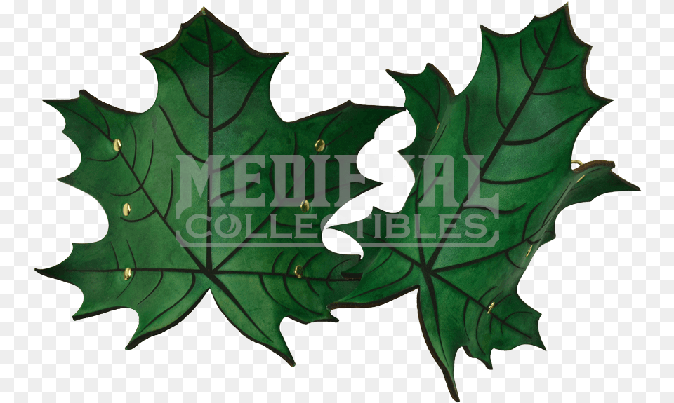 Elven Leaf Wrist Bracers Leaf Bracer, Plant, Tree, Maple Leaf, Person Free Transparent Png