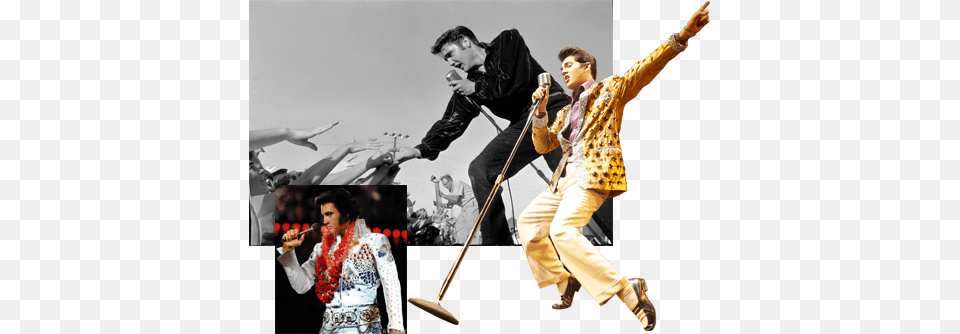 Elvis Aaron Presley Elvis Shaking His Legs, Adult, Person, Woman, Leisure Activities Free Png Download