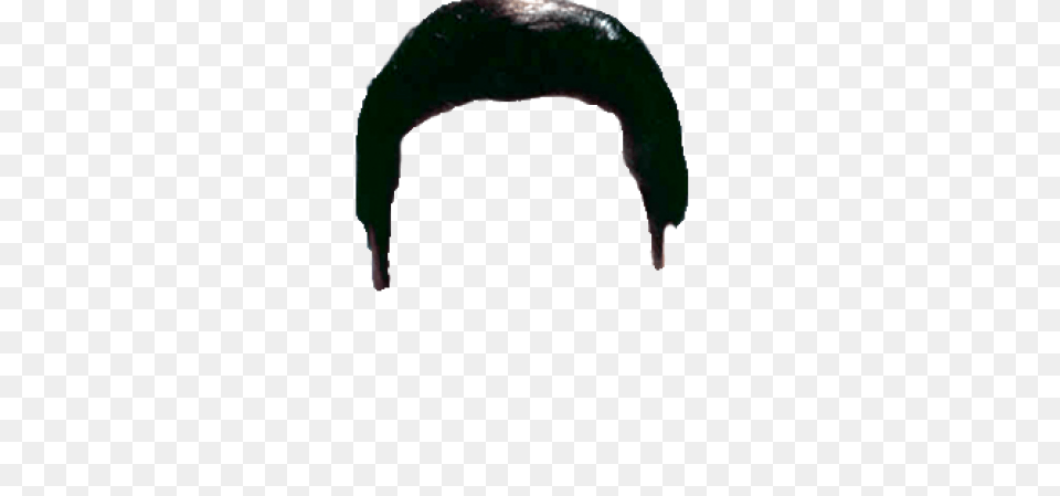 Elvis Hair Transparent Elvis Hair Images, Face, Head, Person, Mustache Png Image