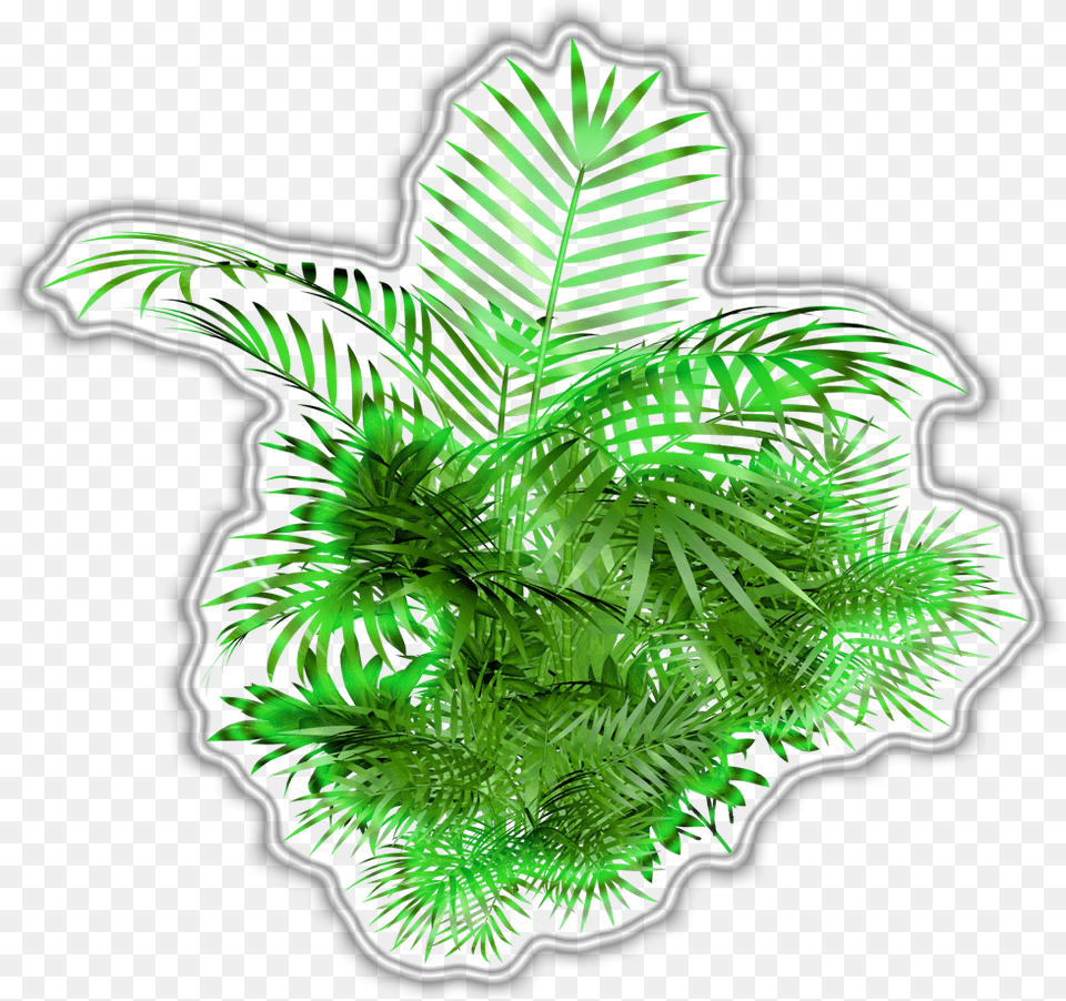 Elysium Green 065 Water, Fern, Plant, Pattern, Vegetation Png