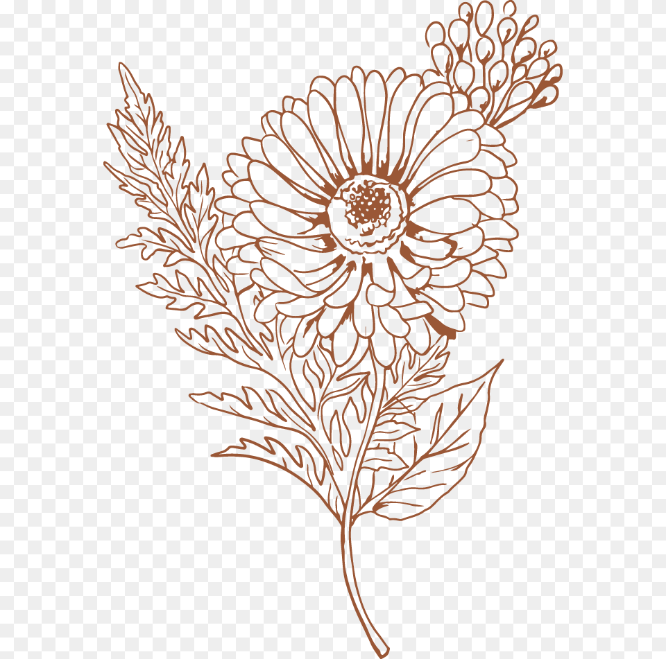 Em Florals Portable Network Graphics, Art, Pattern, Floral Design, Plant Png Image