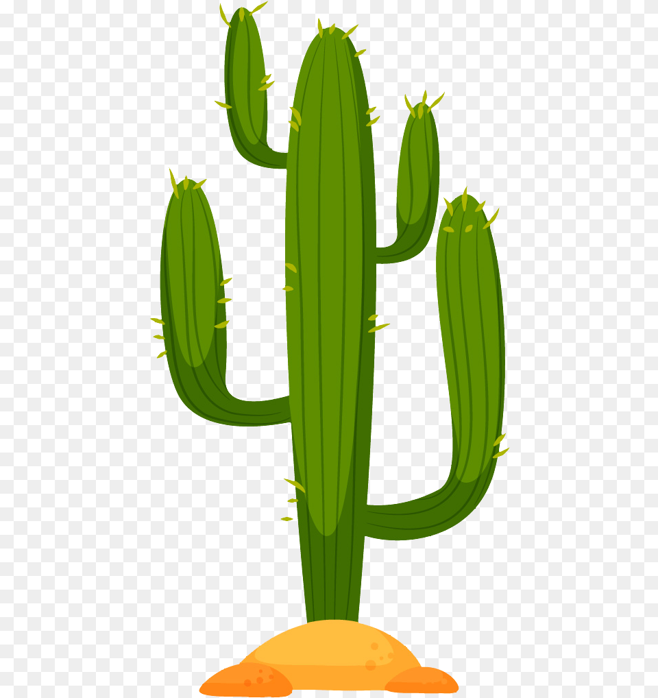Email Hellokonfetti Co Vector Cactus, Plant Png Image