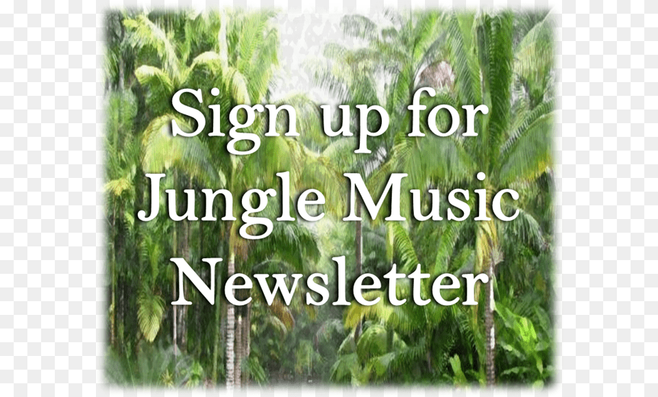 Email Newsletter Sign Up Banner Plantation, Jungle, Land, Nature, Outdoors Free Png Download