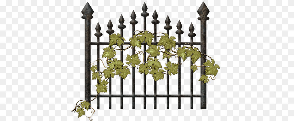 Embellissement, Gate, Leaf, Plant, Fence Free Png