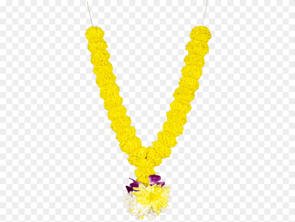 Emblem, Accessories, Flower, Flower Arrangement, Ornament Free Transparent Png