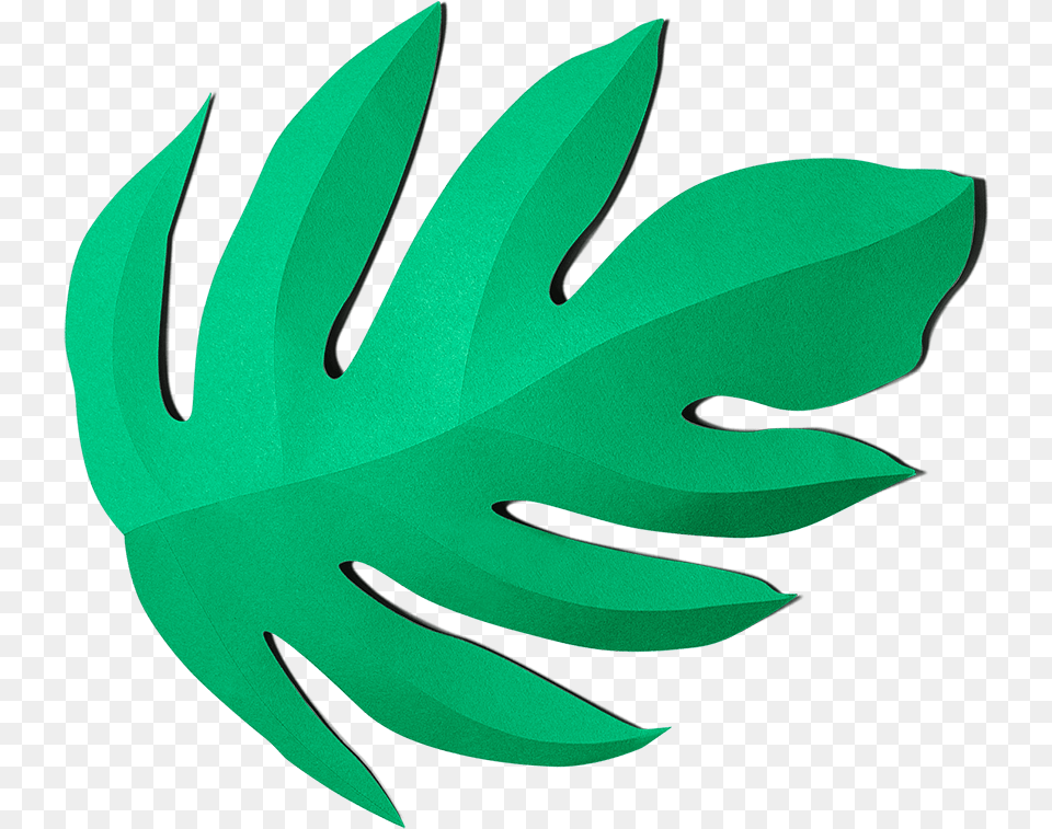 Emblem, Leaf, Plant, Animal, Fish Png