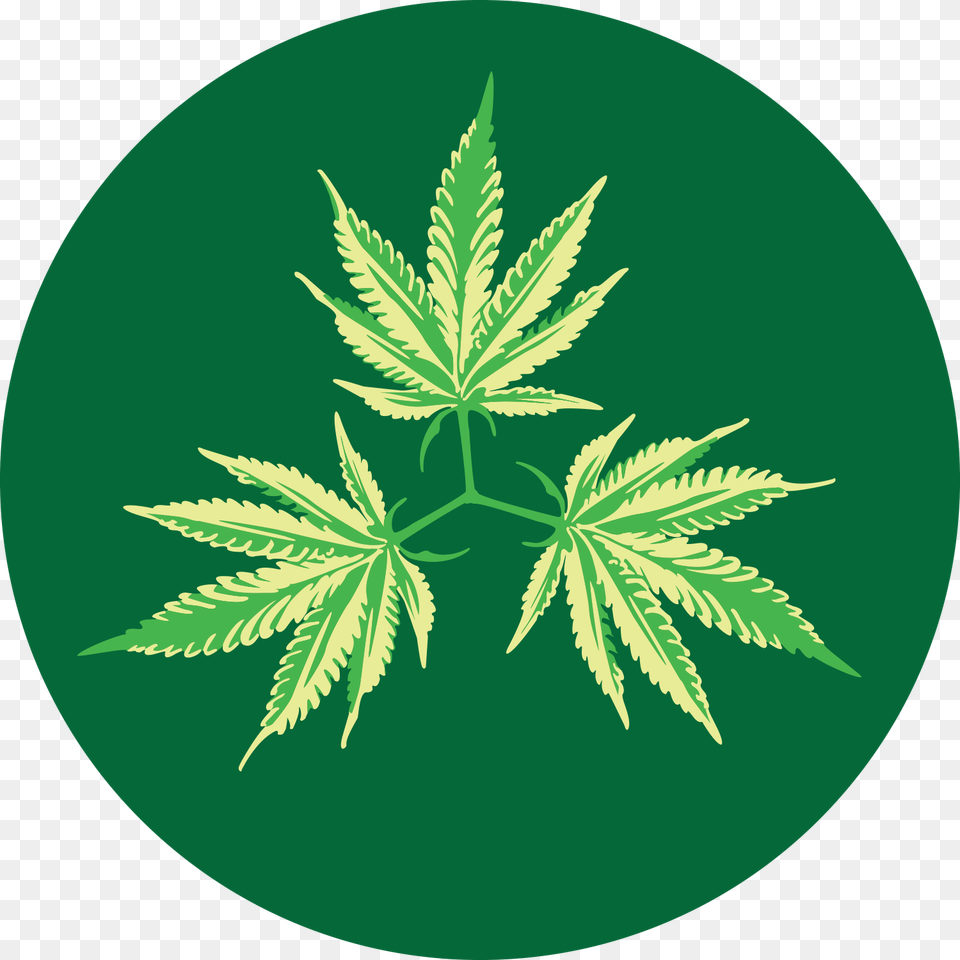 Emblem, Green, Leaf, Plant, Weed Png