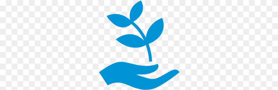 Emblem, Leaf, Plant, Herbal, Herbs Png