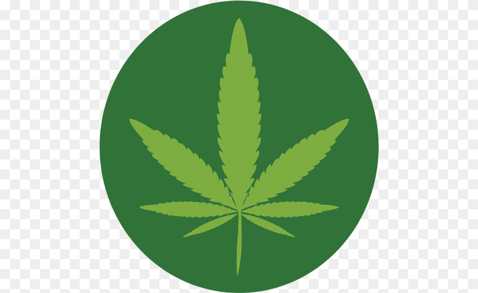 Emblem, Leaf, Plant, Weed, Herbal Free Transparent Png