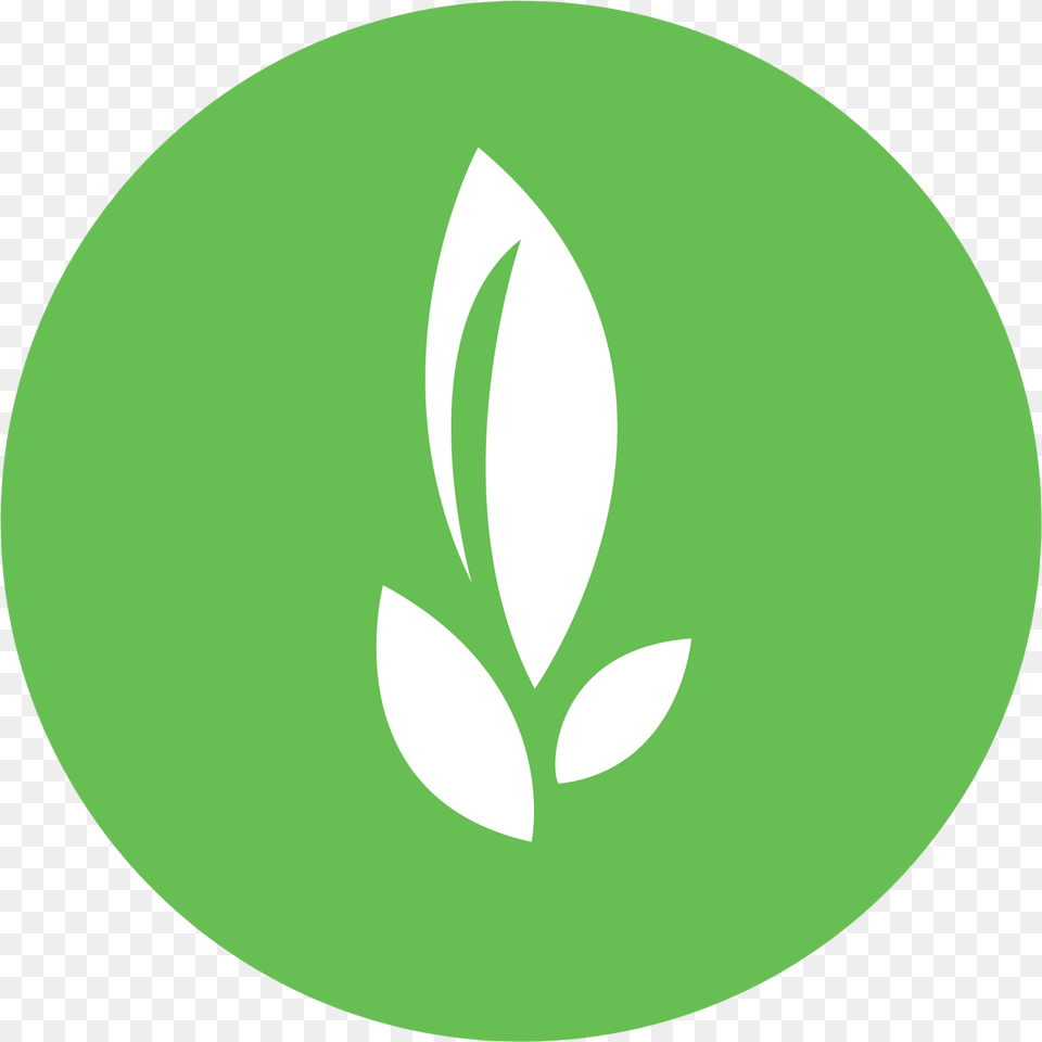Emblem, Plant, Green, Leaf, Herbal Png