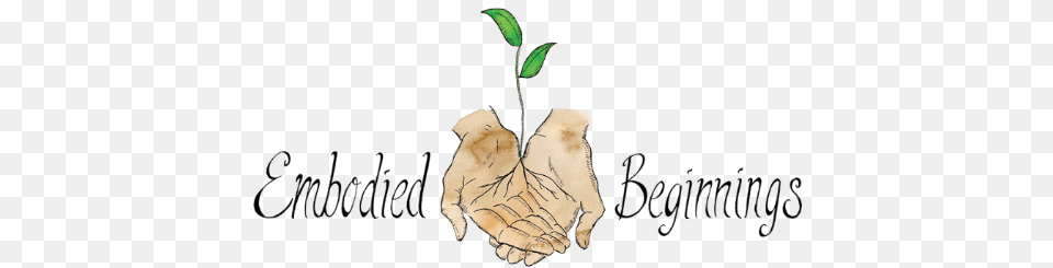 Embodied Beginnings Illustration Free Png Download