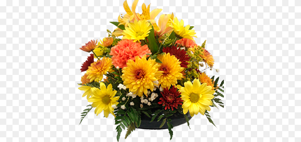 Embrace The Flower, Flower Arrangement, Flower Bouquet, Plant, Dahlia Png Image