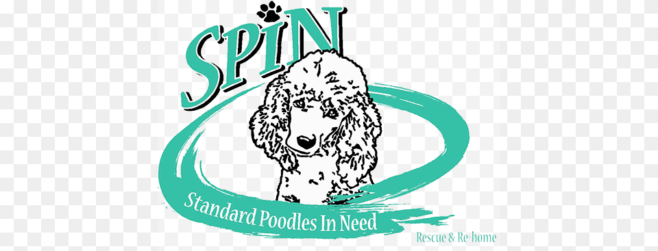 Embrace Your Inner Poodle Dog, Animal, Canine, Mammal, Baby Free Png Download