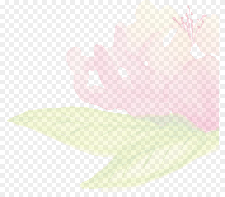 Embroidery, Anther, Flower, Petal, Plant Free Transparent Png
