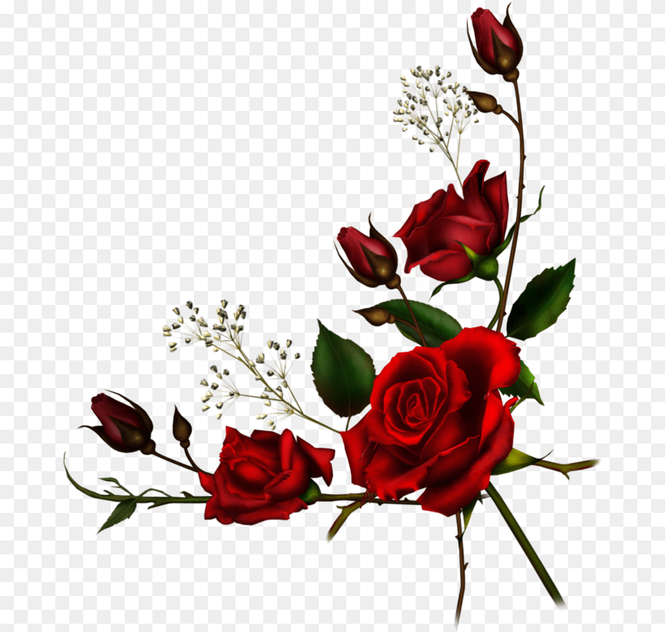 Embroidery Designs Red Rose Borders, Flower, Flower Arrangement, Flower Bouquet, Plant Free Png