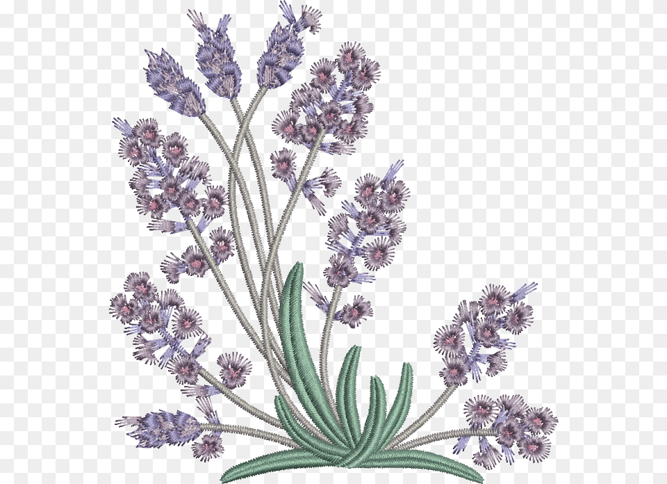 Embroidery Pattern Lavender Flowers Download Flower Embroidery Designs Lavender, Plant Png