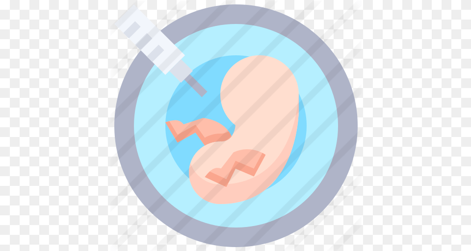Embryo Circle, Disk Free Png Download