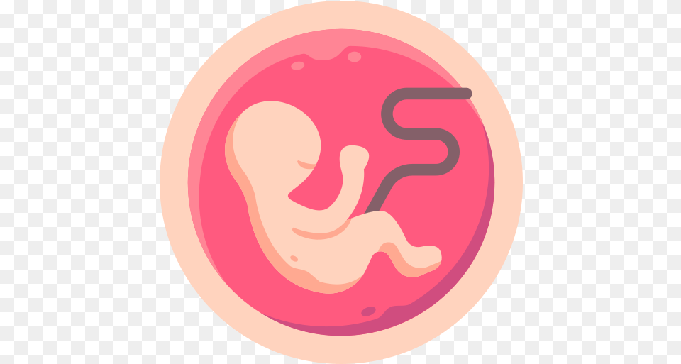 Embryo Embryo Icon, Body Part, Ear, Disk Png Image