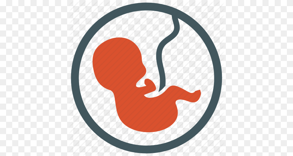 Embryo Fetus Newborn Obstetrics Pregnancy Icon Free Png Download