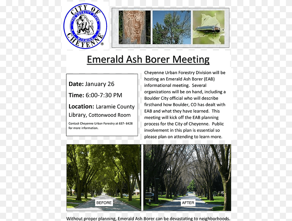 Emerald Ash Borer Meeting City Of Cheyenne, Advertisement, Vegetation, Tree, Poster Free Png