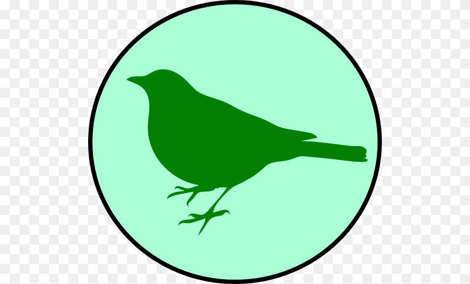 Emerald Clipart Clip Art, Animal, Bird, Blackbird Png