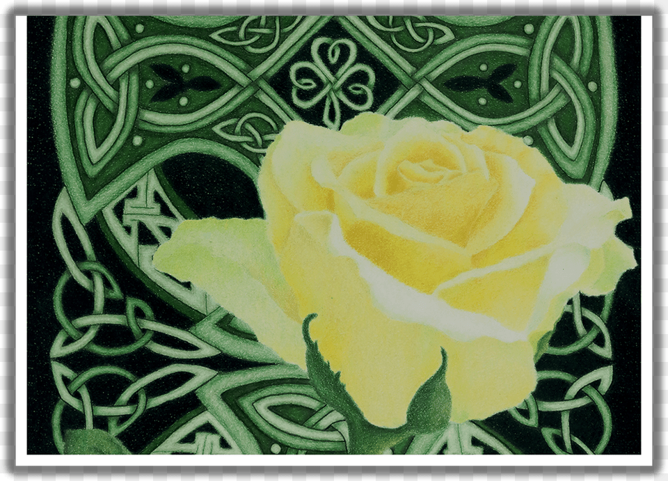 Emerald Enchantment Close Up St Floribunda, Flower, Plant, Rose, Pattern Free Transparent Png