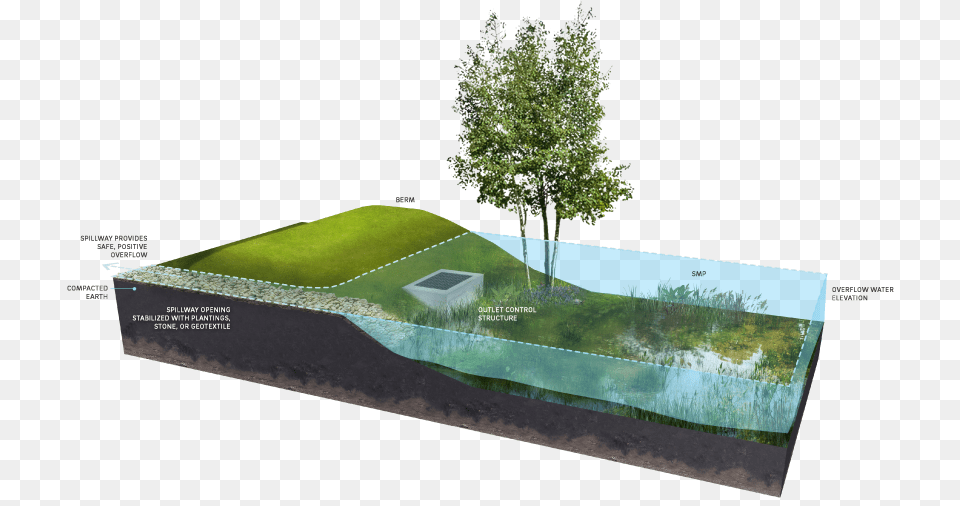 Emergency Spillway Detention Basin, Field, Tree, Plant, Outdoors Free Png