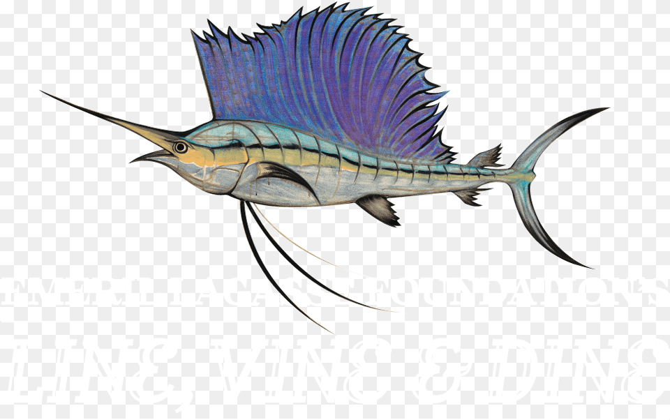 Emeril Lagasse Foundation S Carnivale Du Vin Atlantic Blue Marlin, Animal, Fish, Sea Life, Swordfish Free Transparent Png