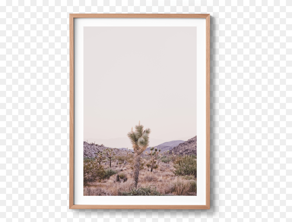 Emily Grace Artwork Picture Frame, Plant, Tree, Nature, Outdoors Png