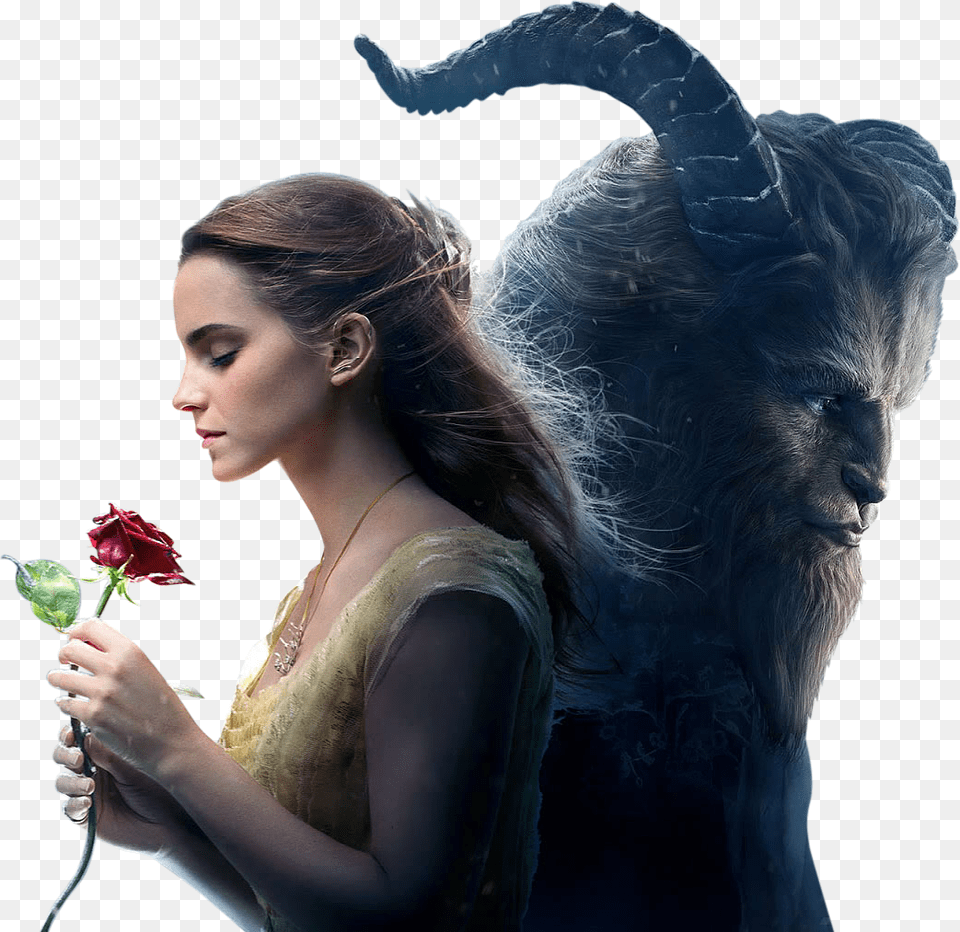 Emma Watson And Dan Stevens As Belle Beauty And The Beast Disney Princess, Head, Face, Rose, Flower Free Png Download