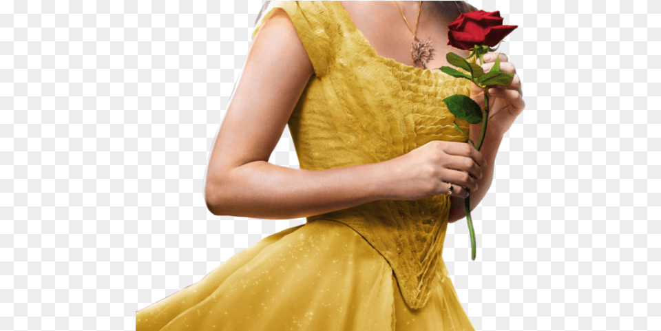 Emma Watson La Bella Y La Bestia, Flower Arrangement, Flower Bouquet, Flower, Plant Png