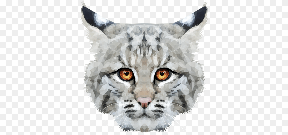 Emmasimoncic Tumblr Com Low Poly Bobcat Illustration Bobcat, Person, Animal, Lynx, Mammal Free Transparent Png