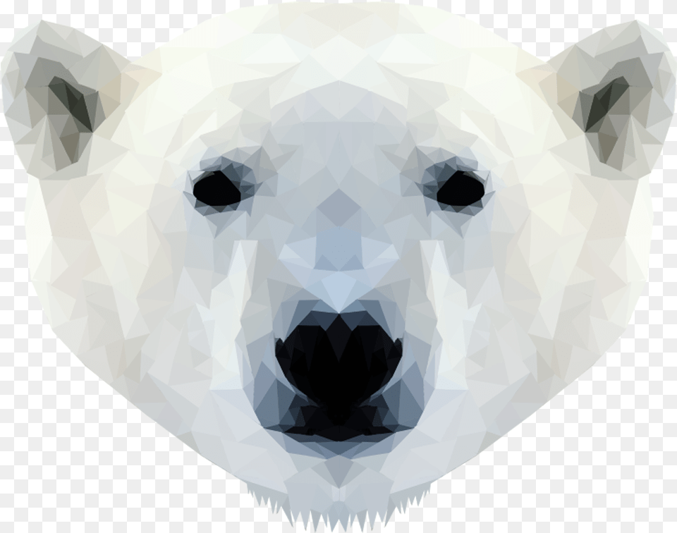 Emmasimoncic Tumblr Com Low Poly Polar Bear Illustration Polar Bear Face, Adult, Wedding, Person, Woman Free Transparent Png