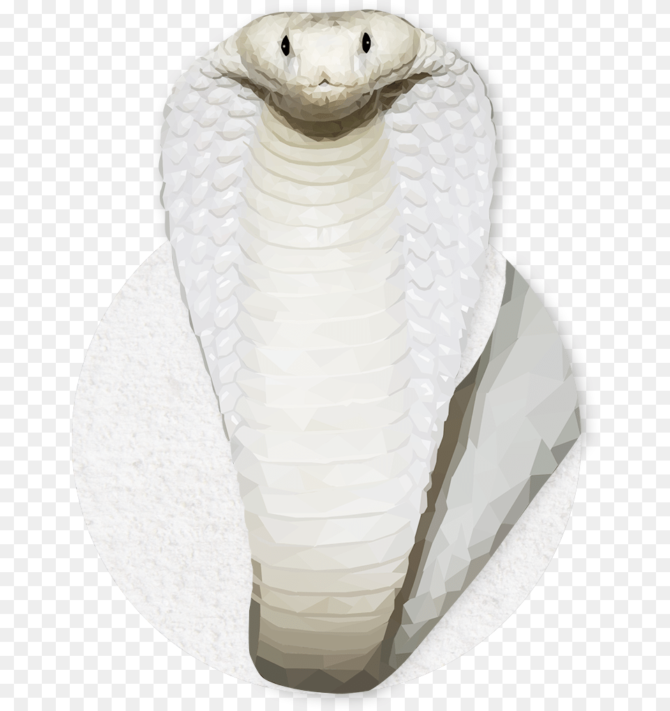 Emmasimoncic Tumblr Com Low Poly White Cobra Serpent, Animal, Reptile, Snake Free Transparent Png