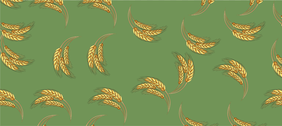 Emmer, Pattern, Paisley Png Image