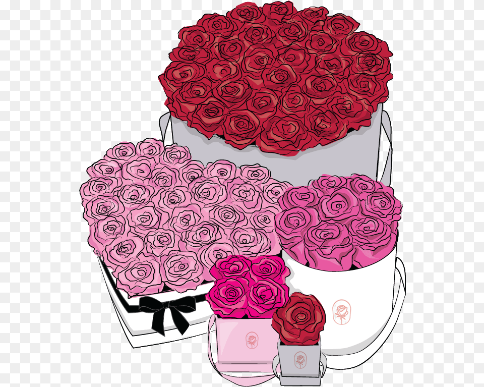 Emmie Gray, Rose, Plant, Flower Bouquet, Flower Arrangement Png Image