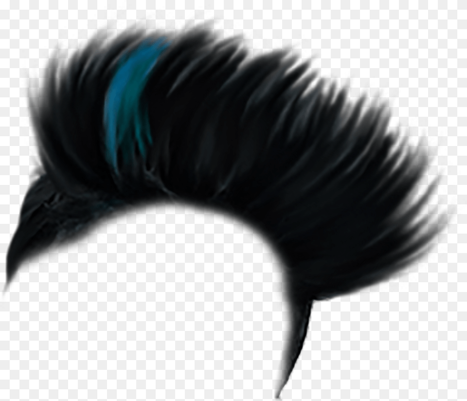 Emo Hair Hair Color Boy, Mohawk Hairstyle, Person, Animal, Bird Free Transparent Png