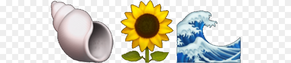 Emoji Aesthetic Tumblr Sunflower Sea Water Shell Aesthetic Sunflower Easy, Flower, Plant, Daisy, Person Free Png Download