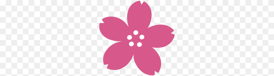 Emoji Android Cherry Blossom, Daisy, Flower, Petal, Plant Png