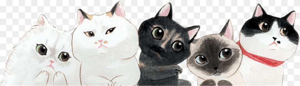 Emoji Cat Cats Freetoedit Mimi Ftestickers, Animal, Mammal, Pet Png Image