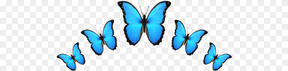 Emoji Crown Corona Butterfly Mariposa Emoji Iphone Butterfly, Animal, Insect, Invertebrate Free Transparent Png